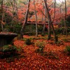 晩秋の衹王寺