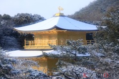 雪朝に輝く