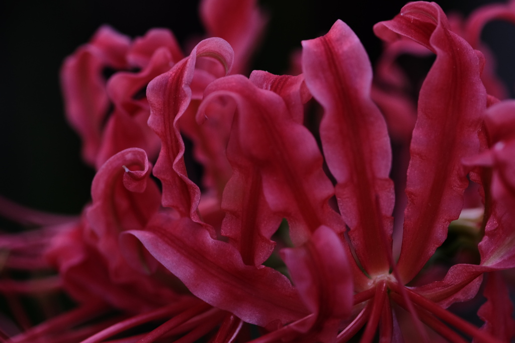 DSCF1122