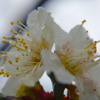 DSC00258