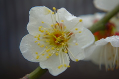 DSC00257