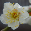 DSC00257