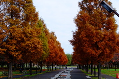 DSCF2878