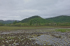 DSC00056