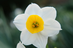 DSCF0070