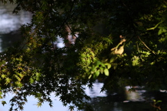 DSCF1891