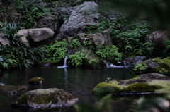 DSCF1515