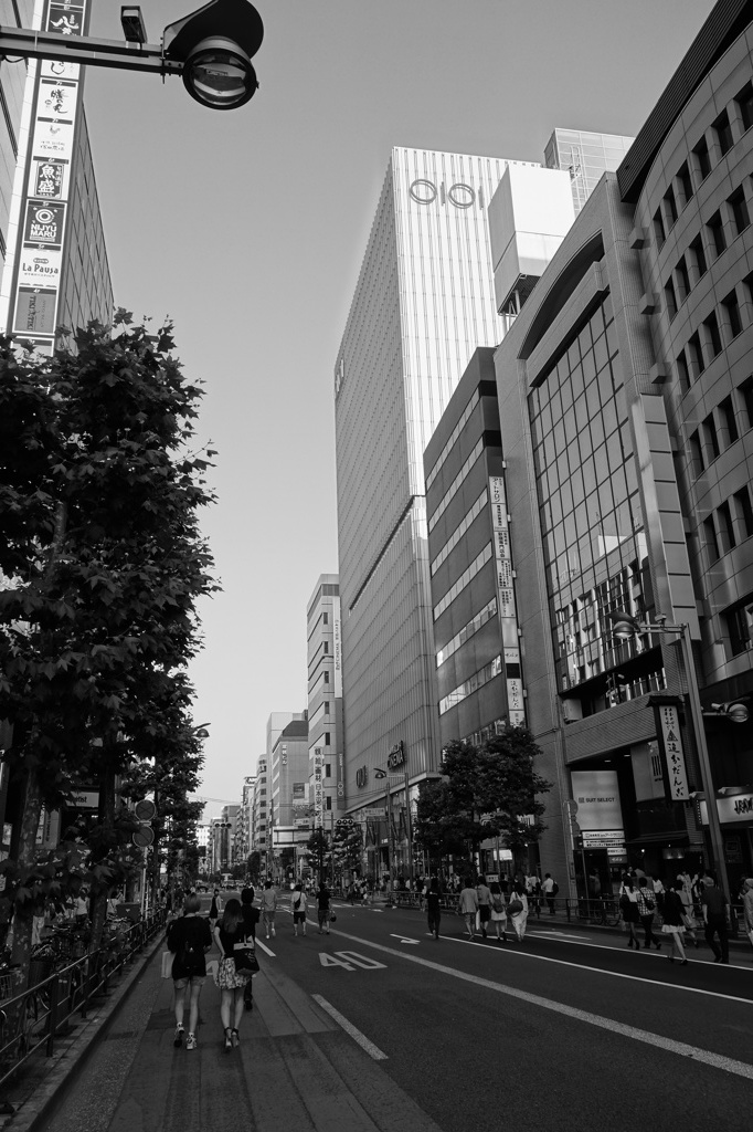 DSC00040
