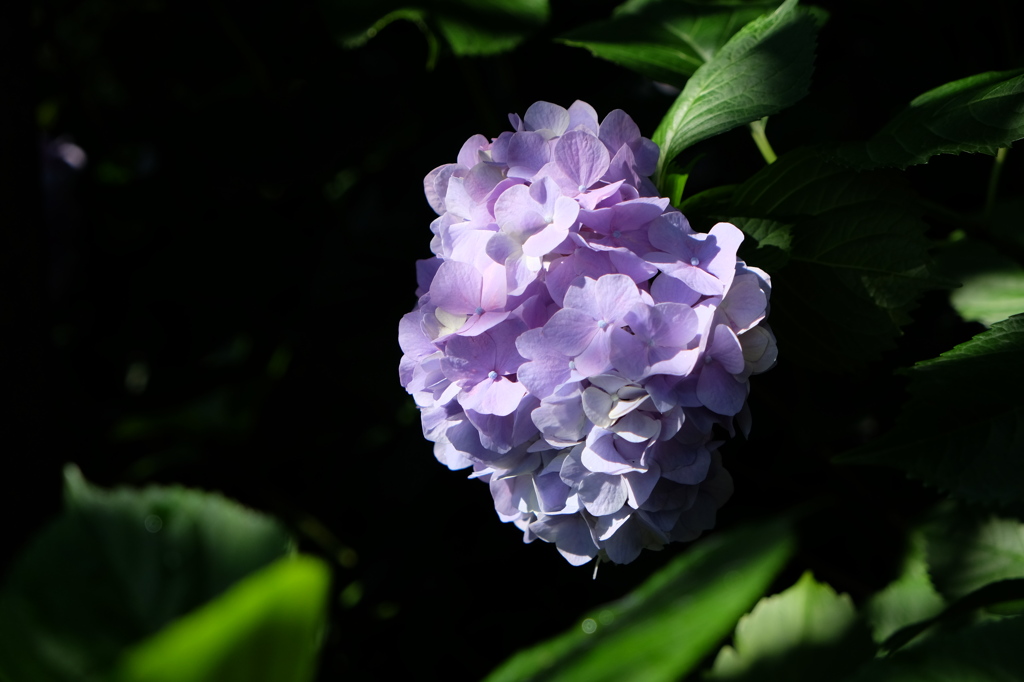 DSCF5402