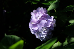 DSCF5402
