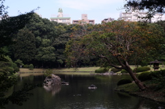 DSCF1534