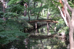 DSCF1552