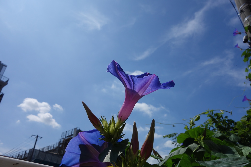 DSC00507