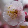 DSC00259