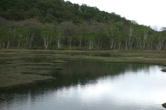DSC00042