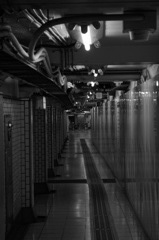 DSC00017