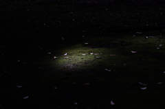DSCF1532
