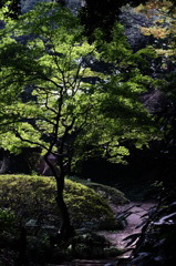 DSCF1500