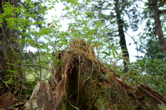 DSC00083
