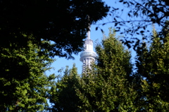 DSCF1104