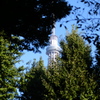 DSCF1104