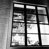 DSC00034