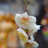 DSC00238
