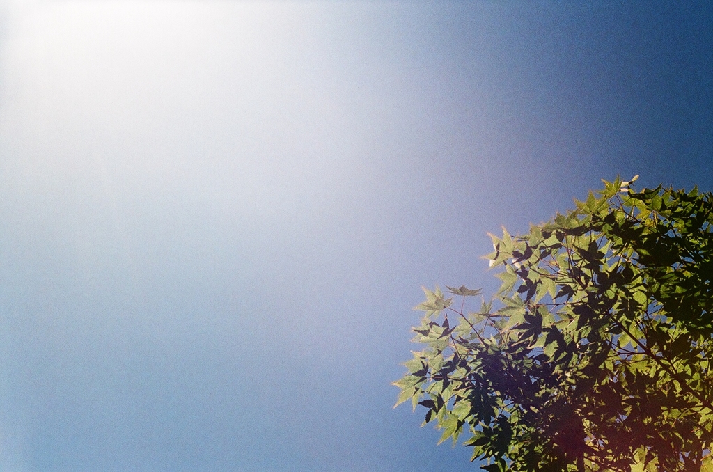 眩しい。