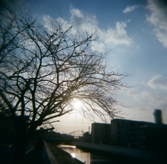 暮れゆく。