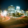 HOLGA DE BULB.