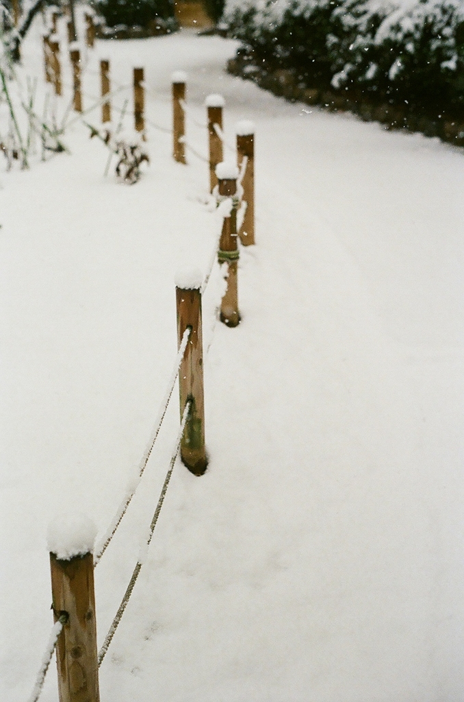 雪の日。