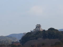 犬山城