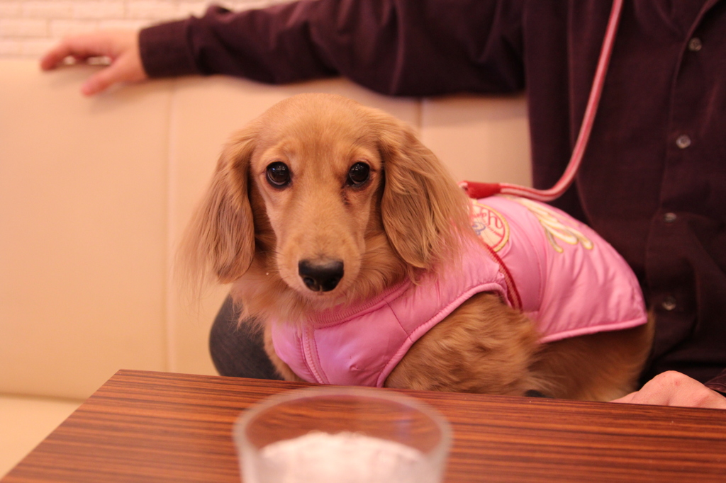 おやつまだ～～？