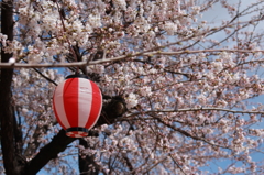 週末