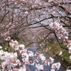 五条川