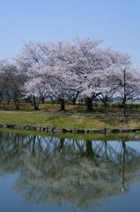 水面