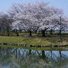 水面