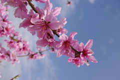 空へ向かって。