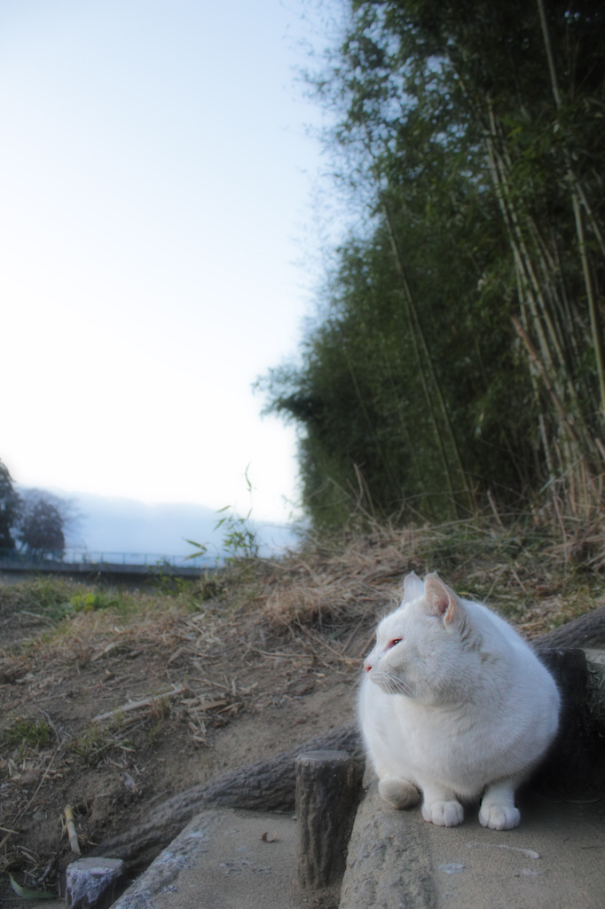 見つめる先に