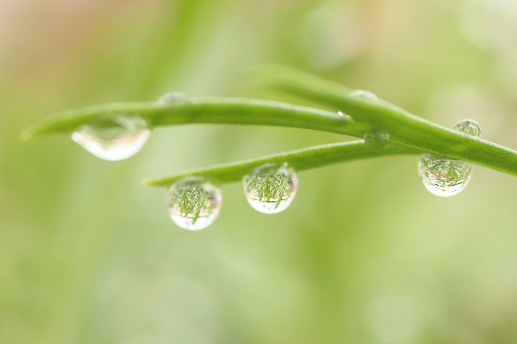 雨上がり