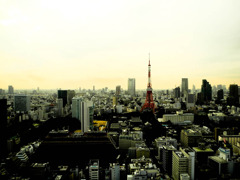 adobe LightRoom ポジプリント調