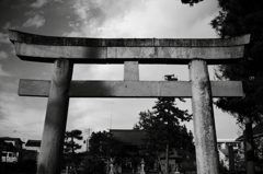 鳥居。
