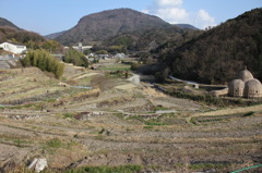 棚田in小豆島