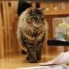 隙間から