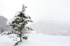 雪