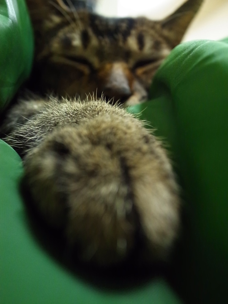 幸せ