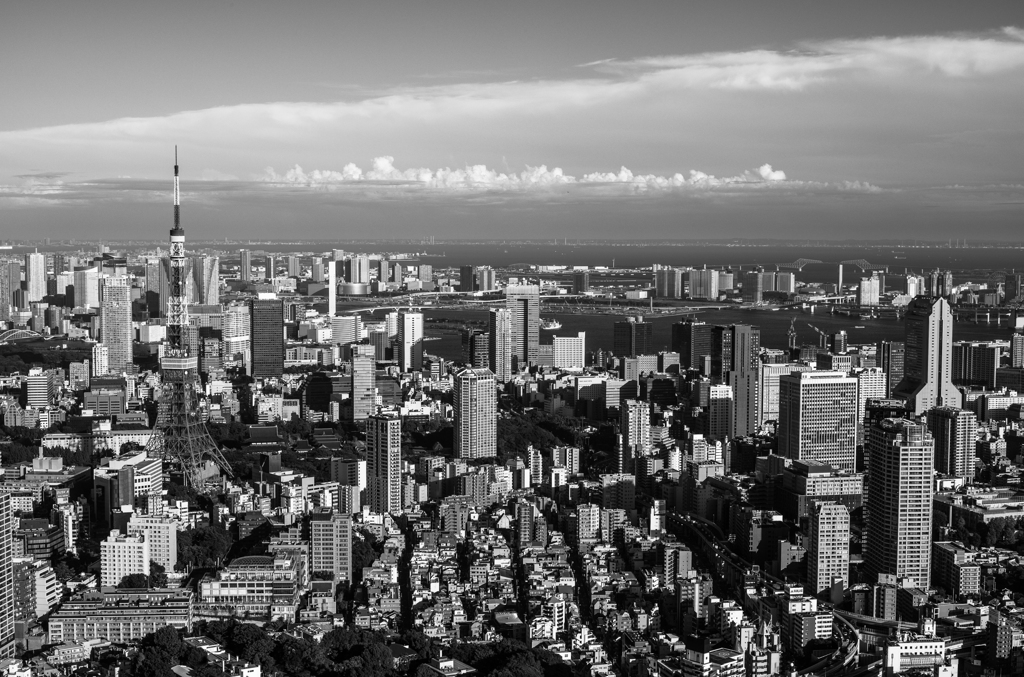 Tokyo Monochrome