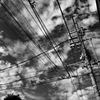 蒼天白雲