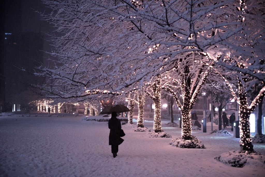 角筈の雪燈り