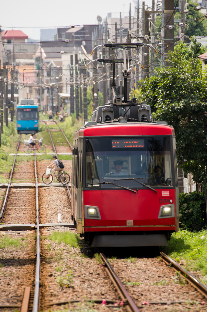 夏の電車道